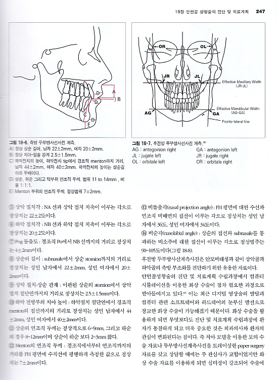 악안면 성형재건 외과학- 2판 (전2권)