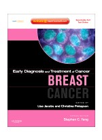 Early Diagnosis and Treatment of Cancer Series: Breast Cancer