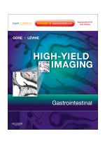 High-Yield Imaging: Gastrointestinal