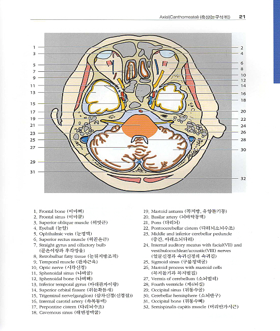 알기쉬운 원색 영상해부학 (CT & MRI) 1(Pocket Atlas of Sectional Anatomy) Vol. 1: Head and Neck (머리, 목)
