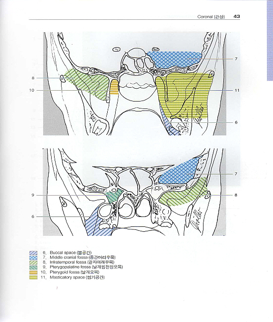 알기쉬운 원색 영상해부학 (CT & MRI) 1(Pocket Atlas of Sectional Anatomy) Vol. 1: Head and Neck (머리, 목)