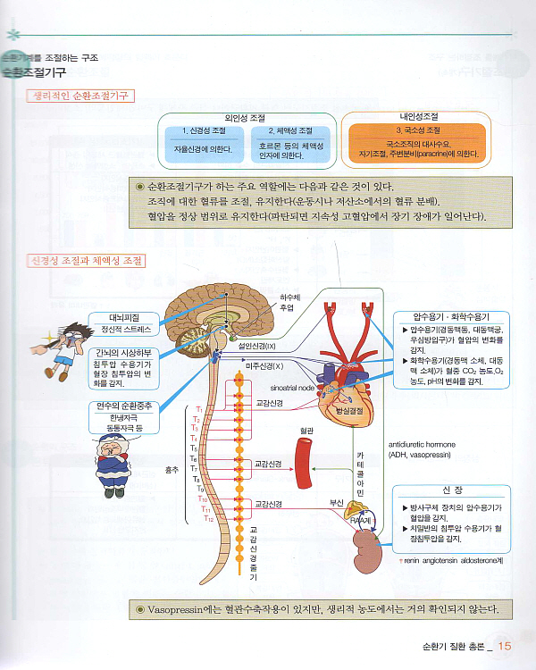 순환기 basic series