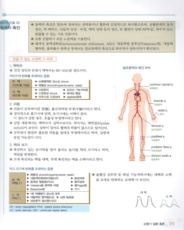 순환기 basic series