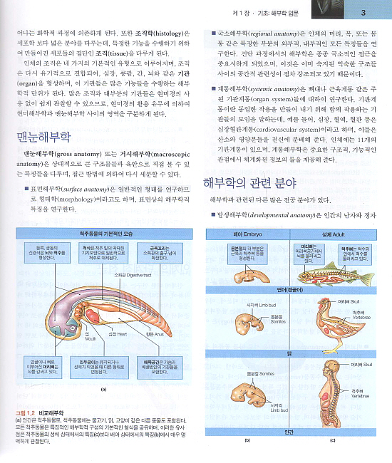 인체해부학(한미의학)