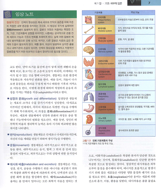 인체해부학(한미의학)