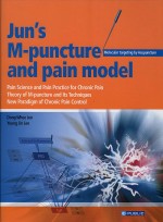 Jun's M-Puncture & pain model(영문판)