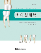 치아형태학 제3판