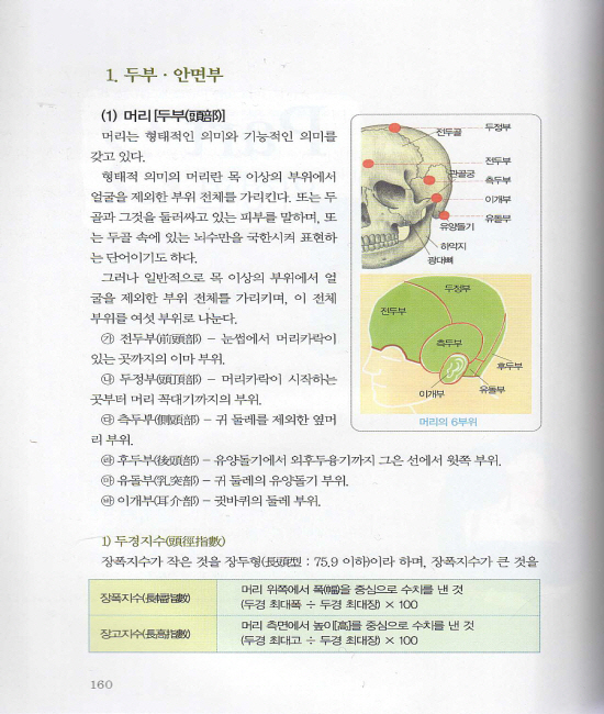 망진 (신재용)