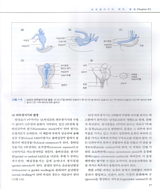 남성과학 2판