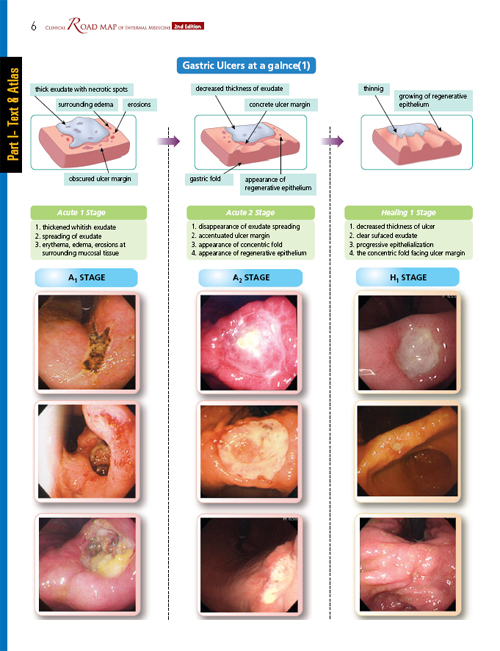 Clinical Road Map of Internal Medicine,2/e