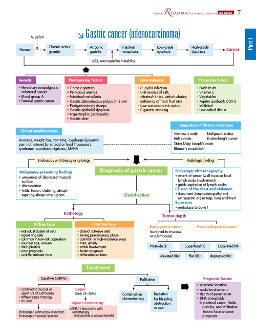 Clinical Road Map of Internal Medicine,2/e
