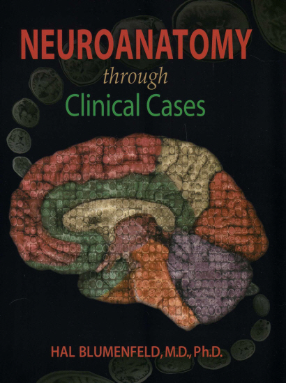 Neuroanatomy Through Clinical Cases (2ed)