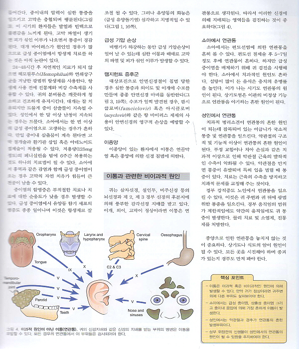 한눈에 보는 이비인후과학·두경부외과학