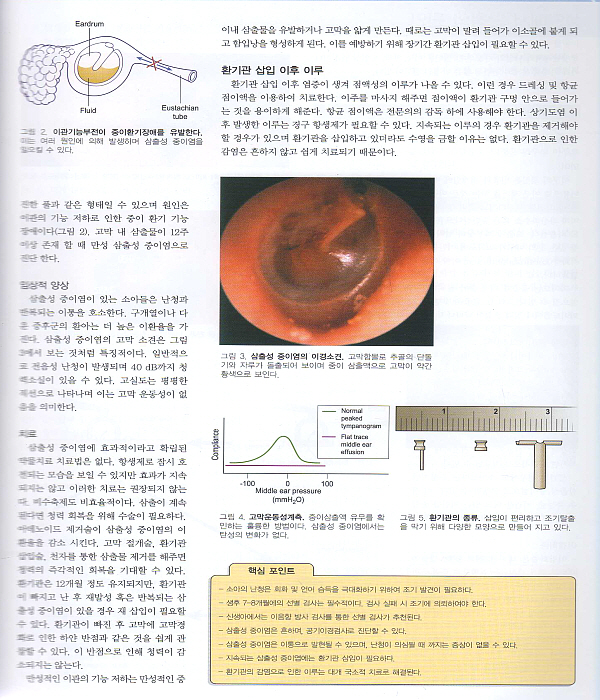 한눈에 보는 이비인후과학·두경부외과학