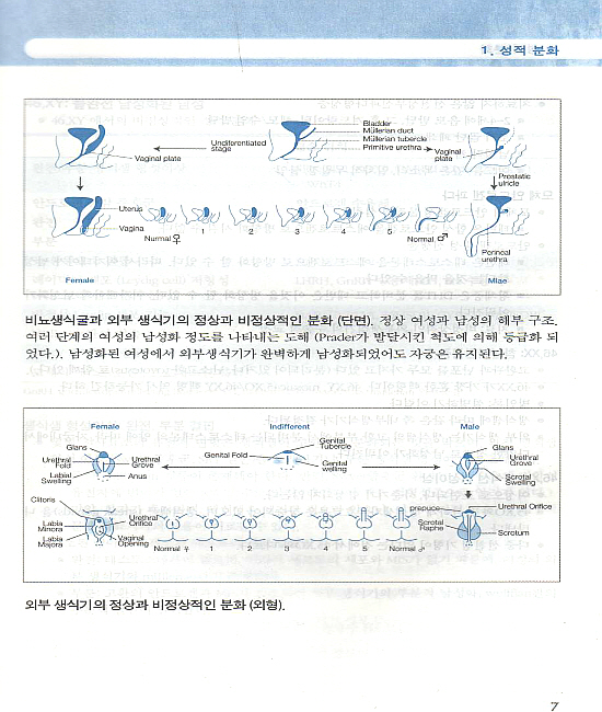 생식내분비&불임(Hand book)