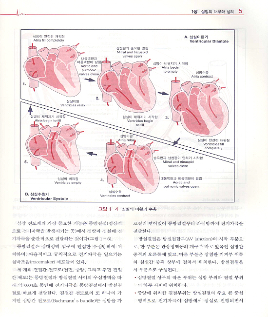 심전도(제3판) - 부정맥의 기본 해석과 관리
