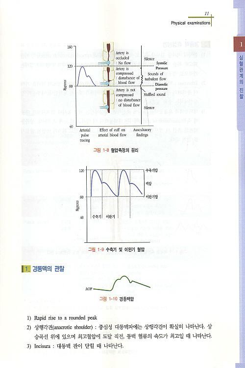 PACIFIC INTERNAL MEDICINE 7권 2010 2판 (내과정리집)