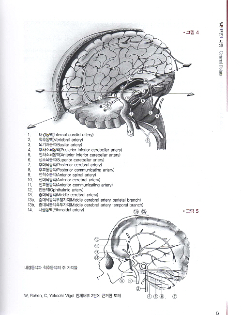 임상의를 위한 두개골 정골요법: 생체역학,병리역학과 진단학
