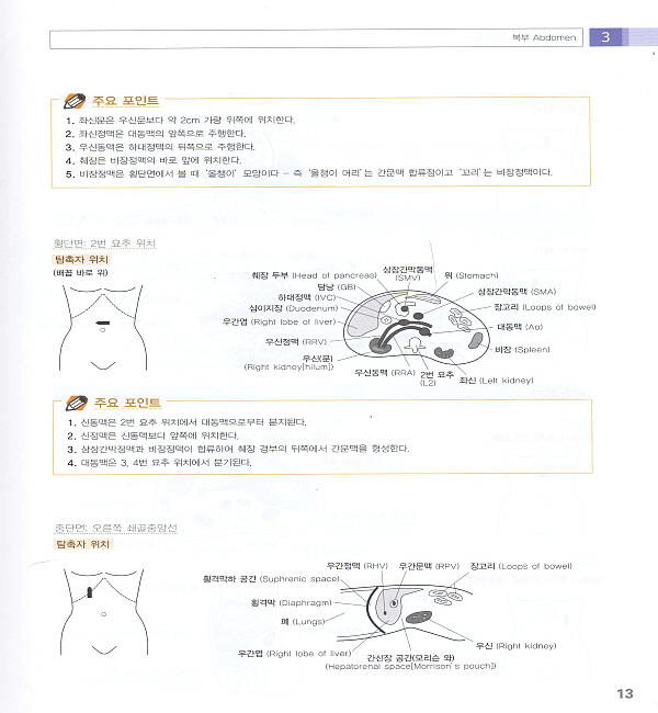 실전초음파 - 그림으로 배우는 Practical Ultrasound : An Illustrated Guide