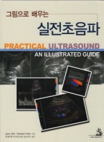 실전초음파 - 그림으로 배우는 Practical Ultrasound : An Illustrated Guide