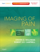 Imaging of Pain