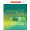 Imaging of Pain