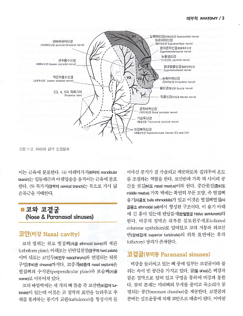 오늘의 진단 및 치료 -이비인후과학- Current Otolaryngology Head and Neck Surgery