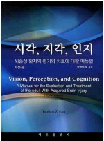 시각 지각 인지(개정4판) - 뇌손상 환자의 평가와 치료에 대한 메뉴얼 [개정판]