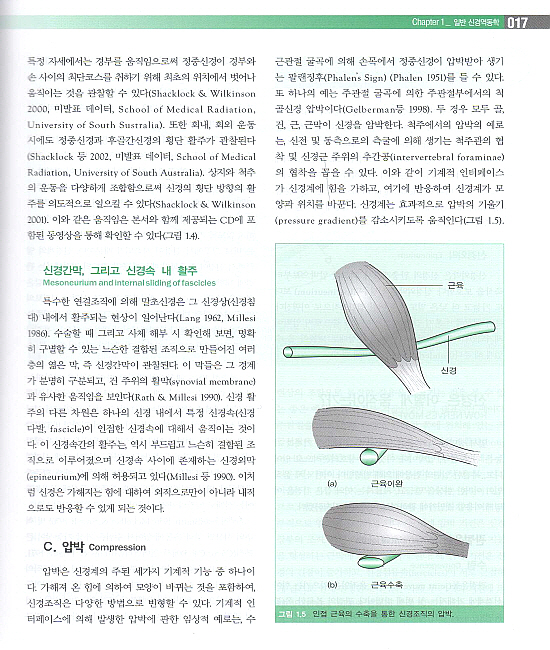 임상신경역동학