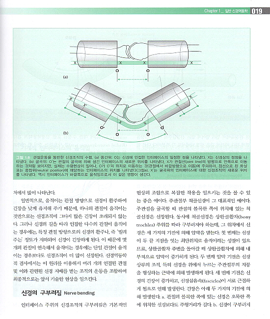 임상신경역동학