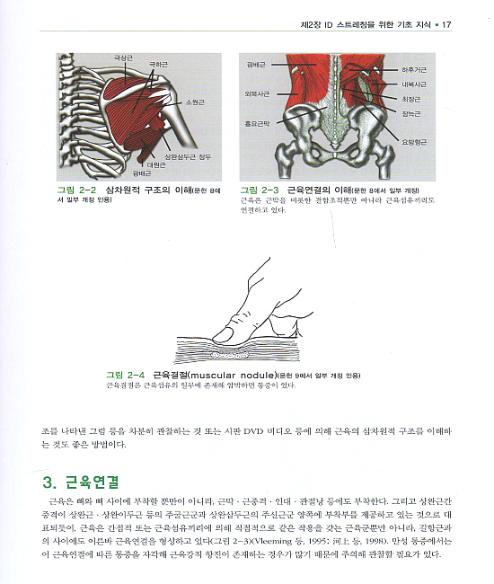 ID 스트레칭 수기요법 (Individual Muscle Stretching) [양장본]