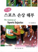 스포츠 손상 해부 (도해)