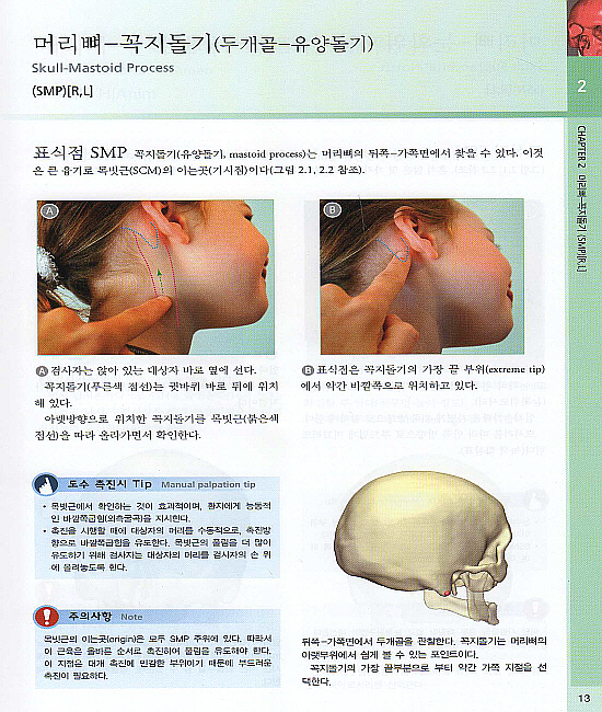 골격 촉진을 위한 컬러 아틀라스