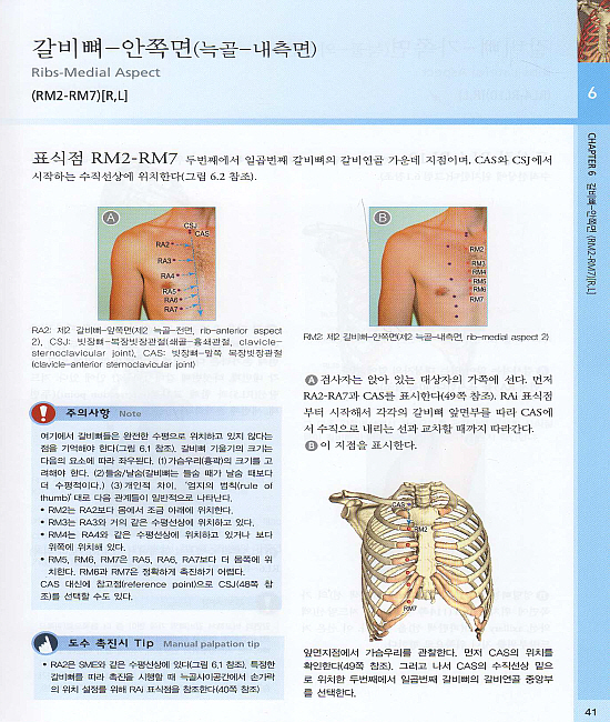 골격 촉진을 위한 컬러 아틀라스