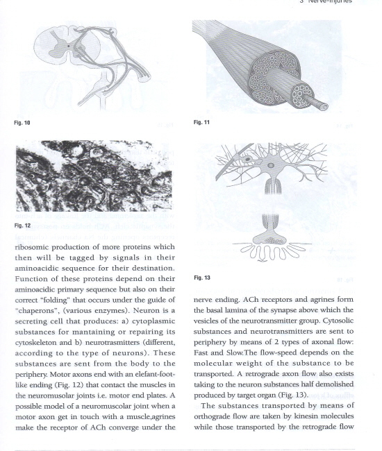 Hand Surgery (2010 IFSSH)