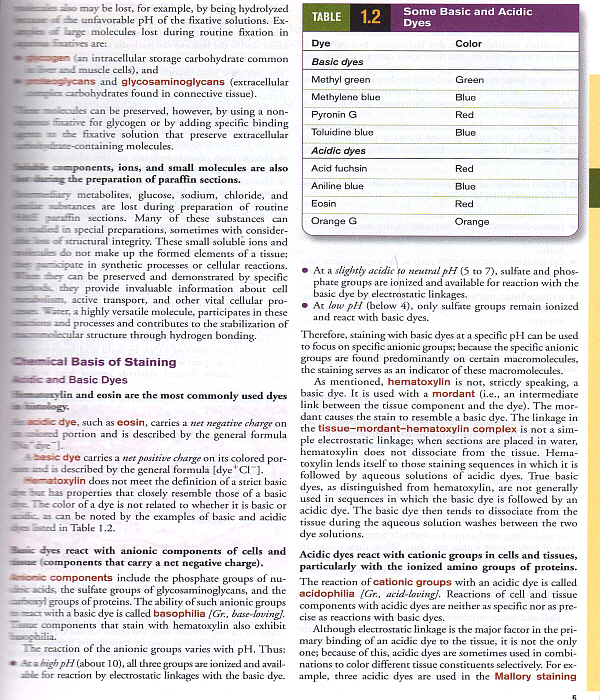 Histology: A Text and Atlas, 6/e