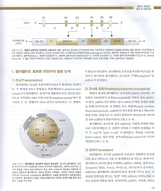 내분비 대사학