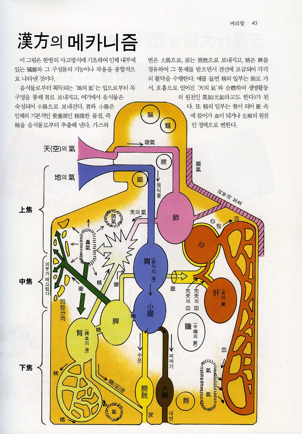 도설동양의학