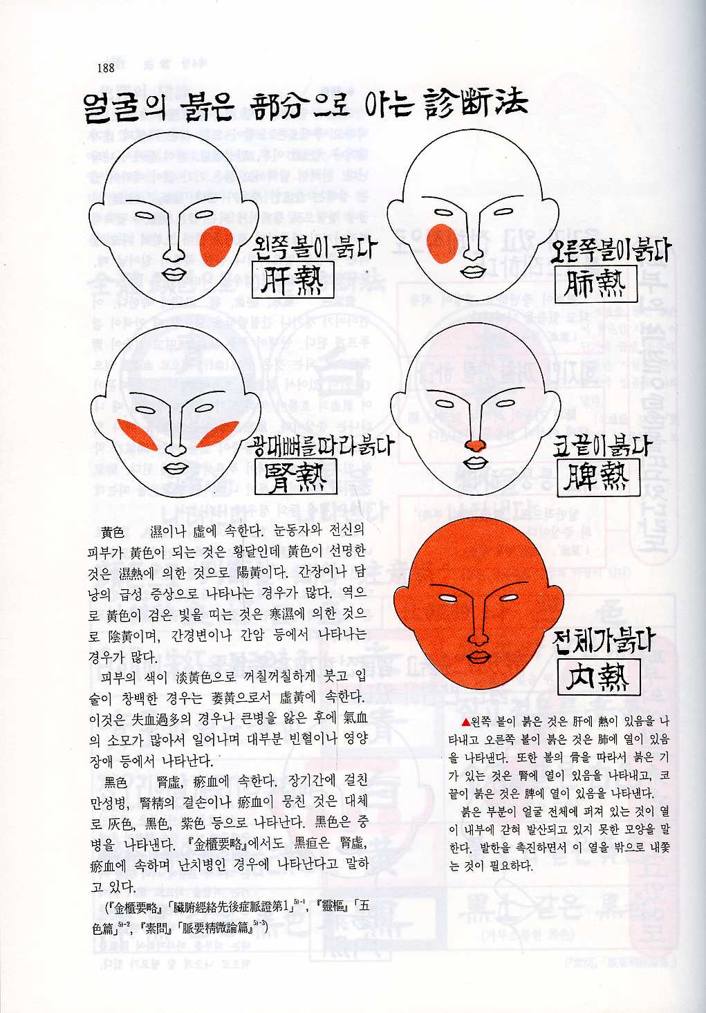 도설동양의학