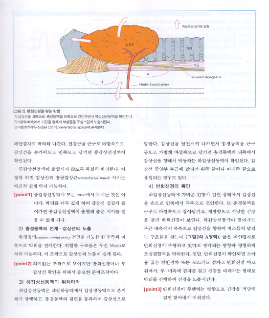 내분비외과의 요점과 맹점(갑상선,부갑상선,부신,췌도종양), Endocrine Surgery