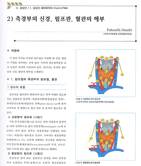 내분비외과의 요점과 맹점(갑상선,부갑상선,부신,췌도종양), Endocrine Surgery