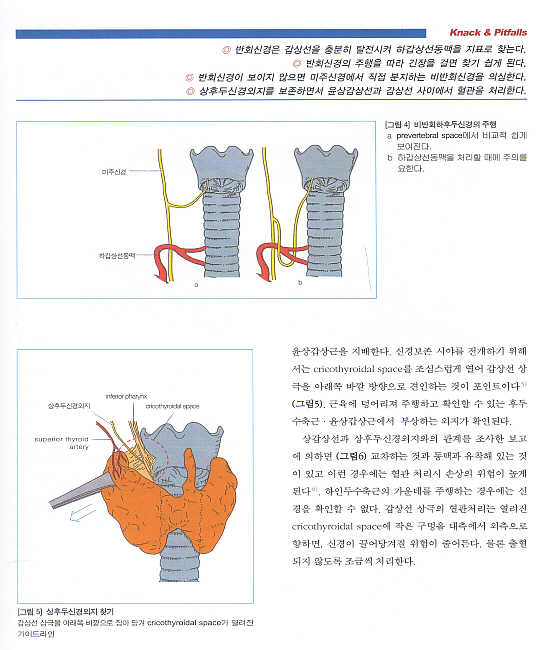 내분비외과의 요점과 맹점(갑상선,부갑상선,부신,췌도종양), Endocrine Surgery