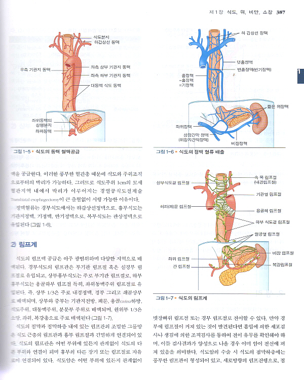 외과학 (학회)