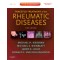 Targeted Treatment of the Rheumatic Diseases