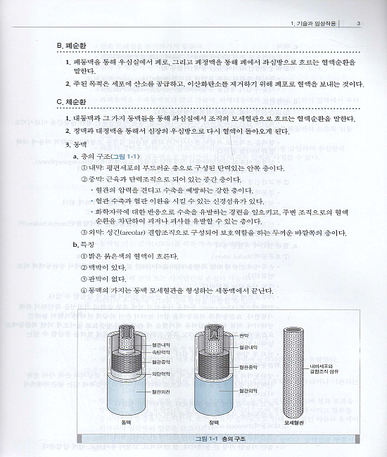 정맥주입간호(Core Curriculum for Infusion Nursing)