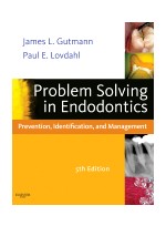 Problem Solving in Endodontics, 5th Edition