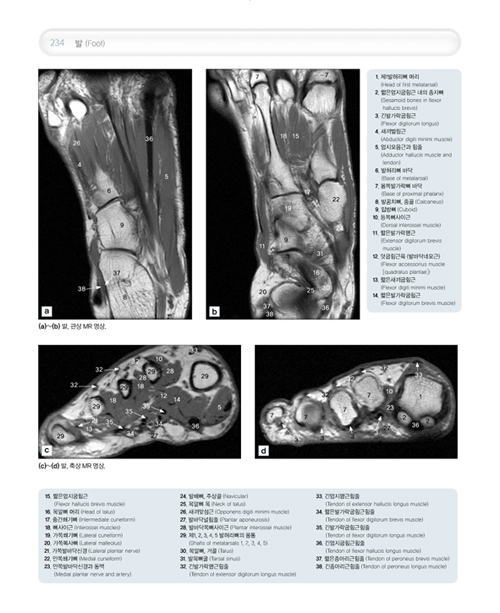 사진으로 보는 인체해부 영상 Imaging Atlas of Human Anatomy, 4/e