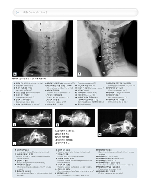 사진으로 보는 인체해부 영상 Imaging Atlas of Human Anatomy, 4/e