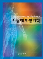 사람 해부 생리학 (수문사)