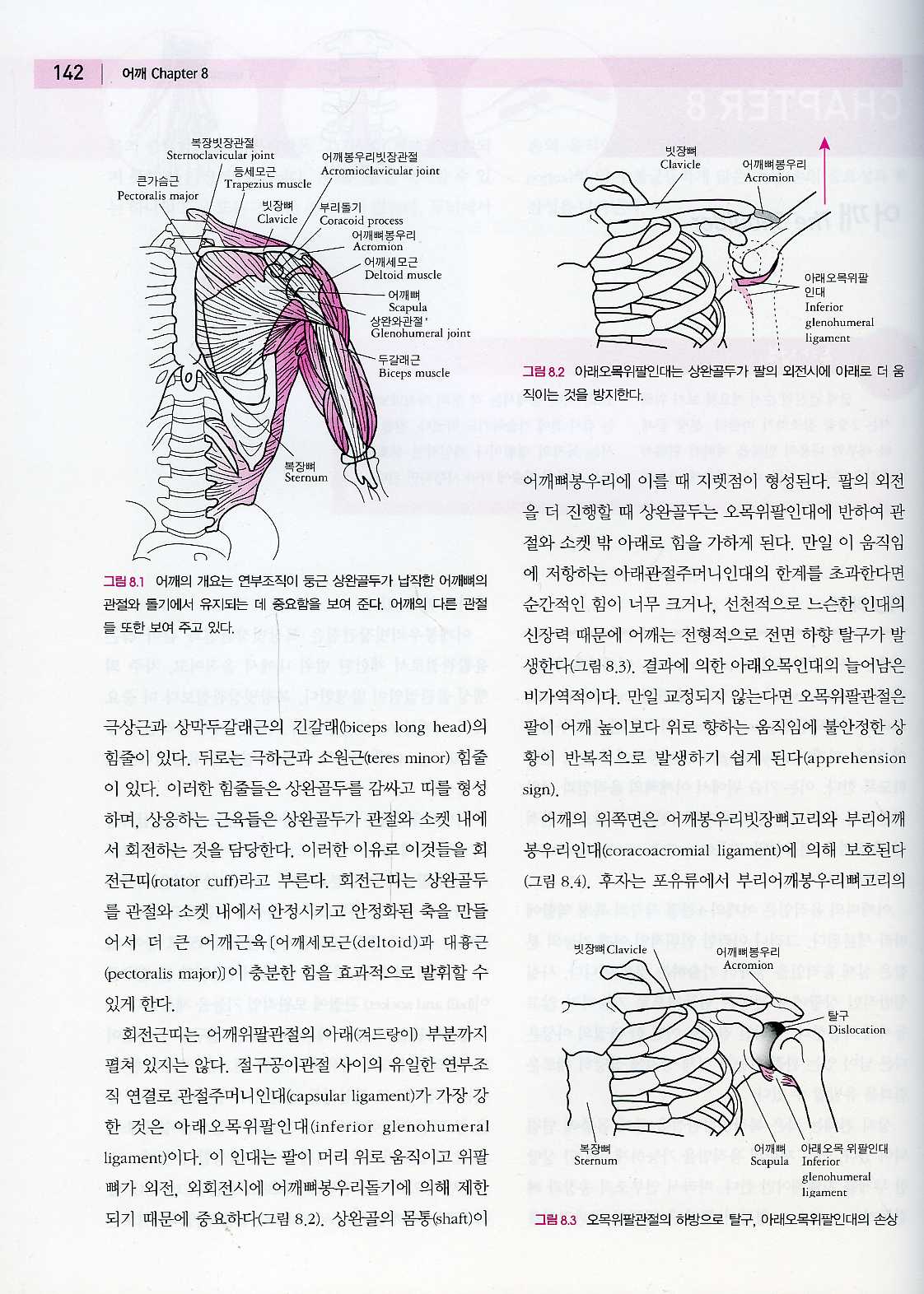 근골격계 진찰